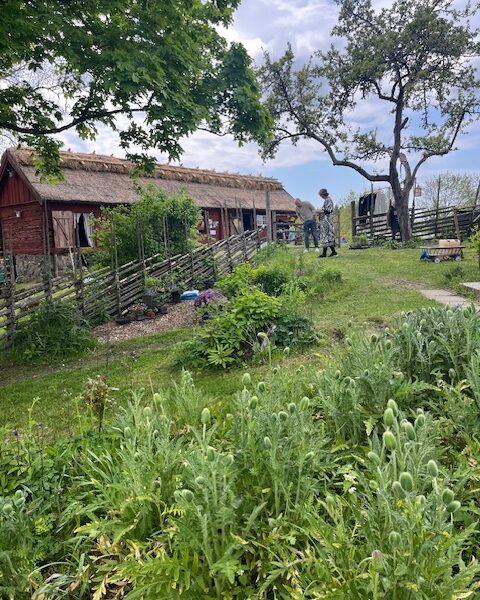 MORS DAG i Viby by 31 maj 2026